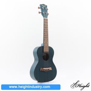 akustični koncert ukulele